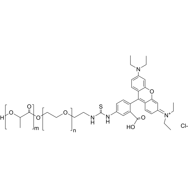 PLLA5000-PEG3000-RhB